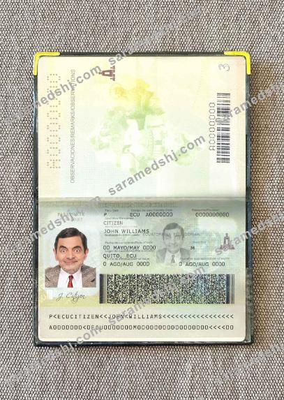 Ecuador passport photo look